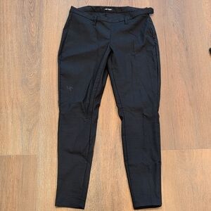 Arc'teryx Edin Pants Size 6  NWOT